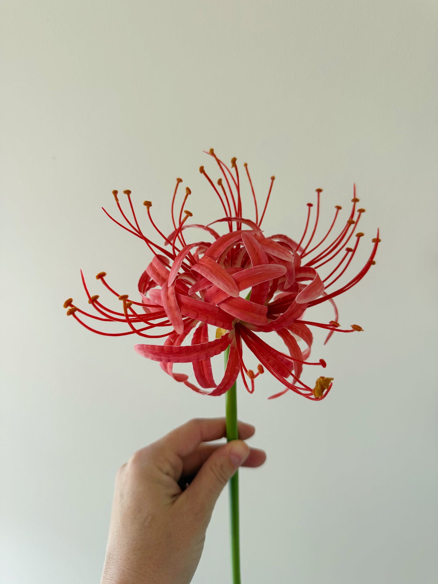 Kunstbloem amaryllis