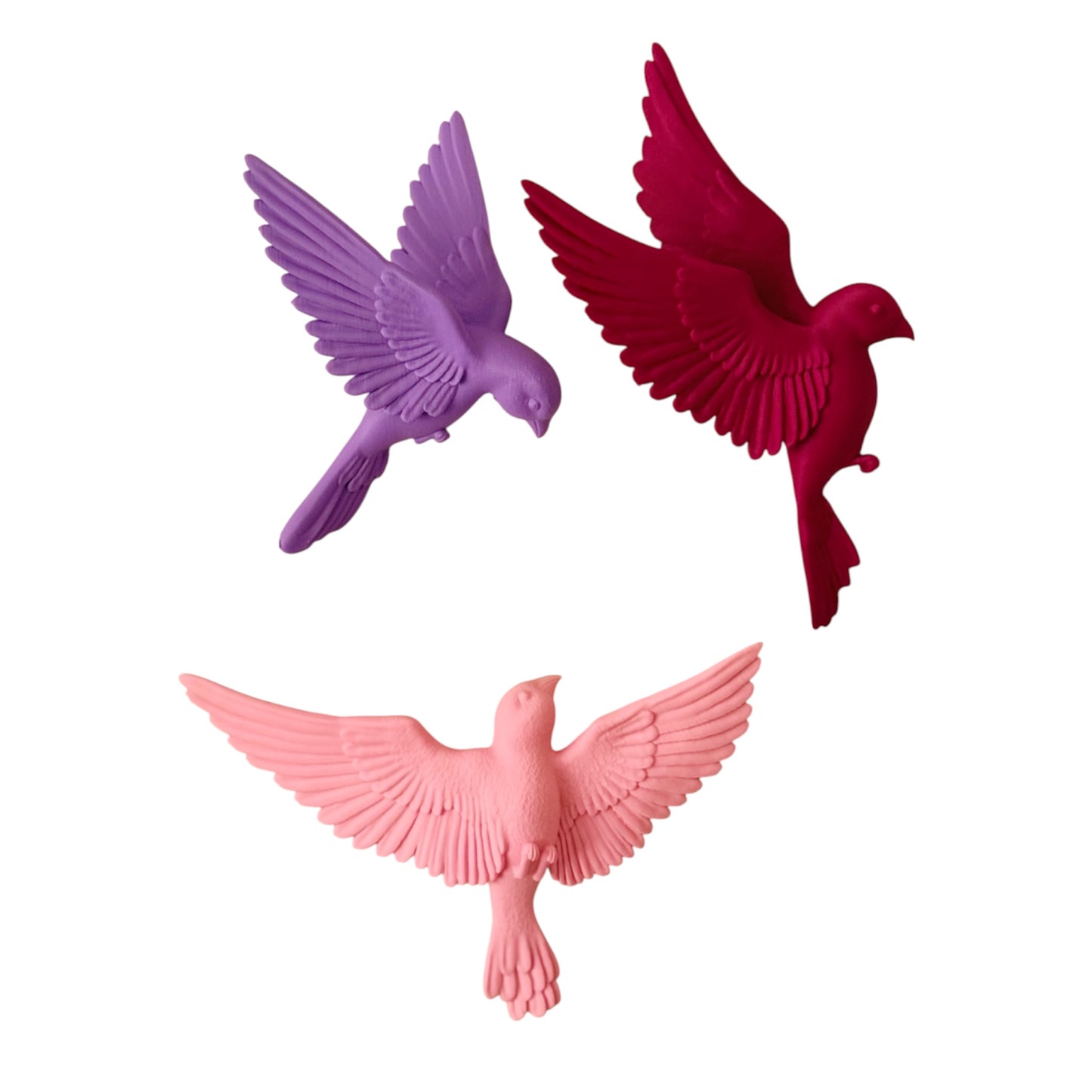 Wandbord - vogels