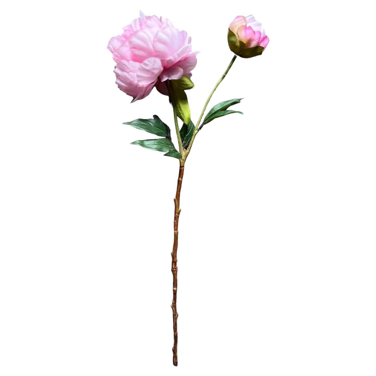 Kunst pioenrozen roze StyleByClariss.