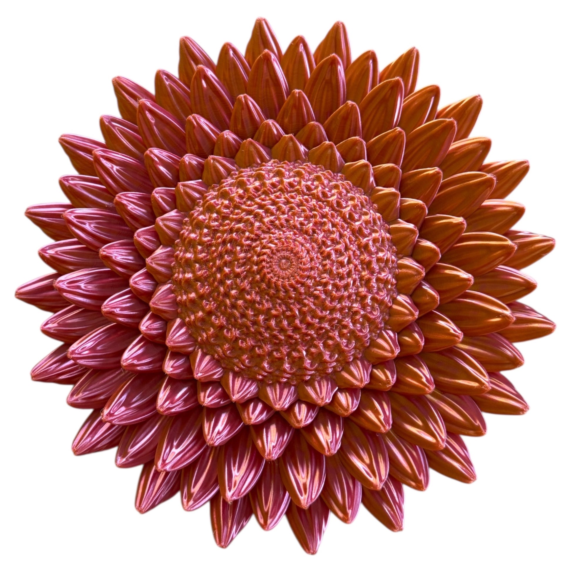 oranje wandborden