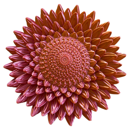 oranje wandborden